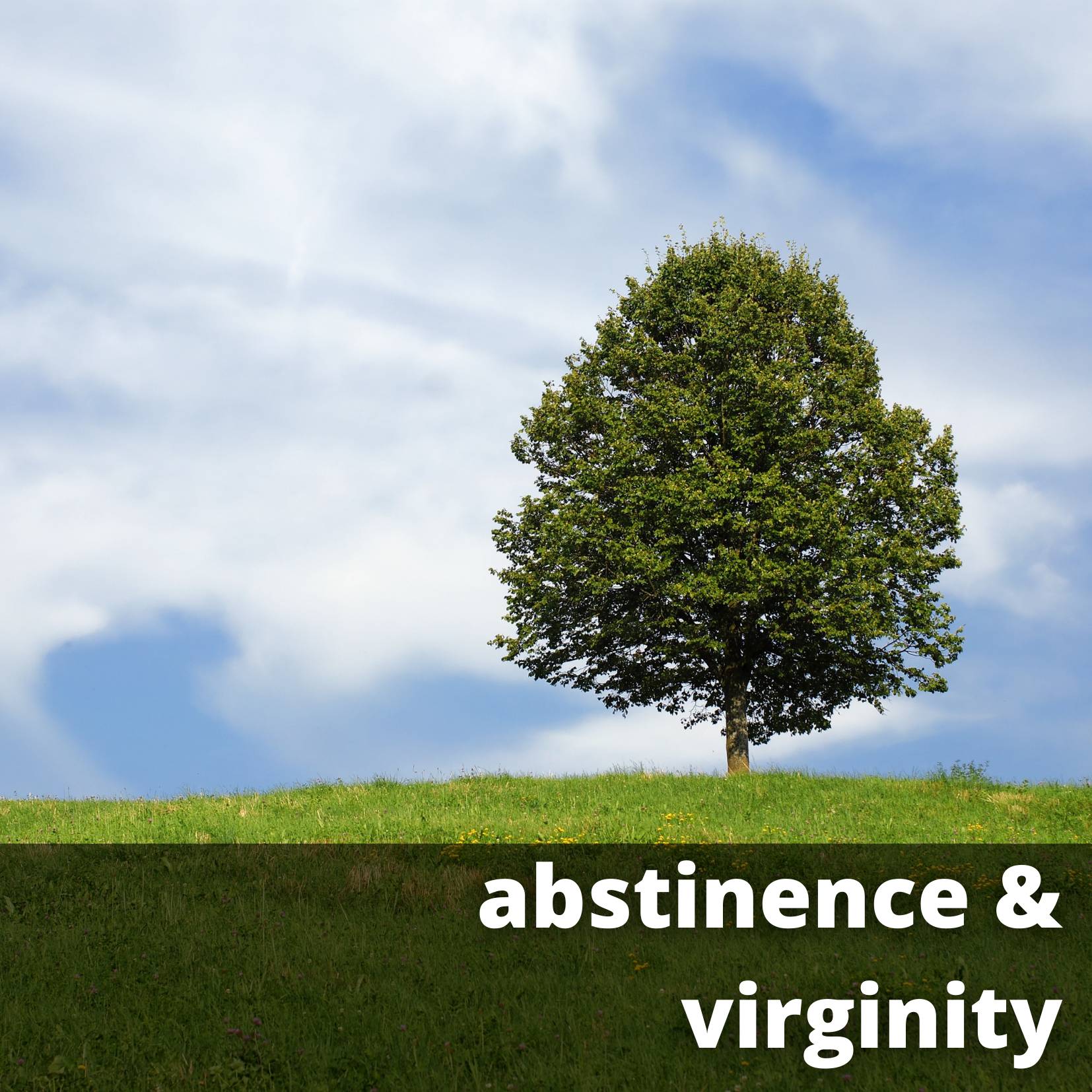 abstinence and virginity
